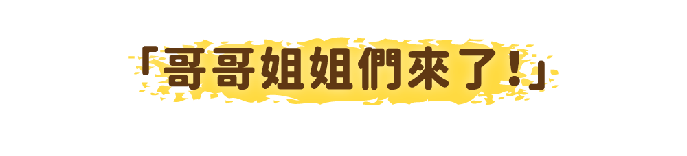 哥哥姐姐們來了